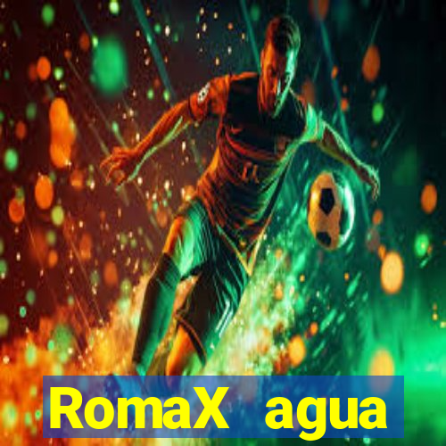 RomaX agua sanitaria fispq agua sanitaria romax